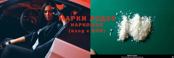 прущий лед Алзамай